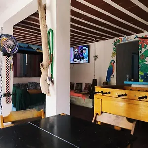 https://hostel-raizes-surf-and-bar.cabofriohotels.org